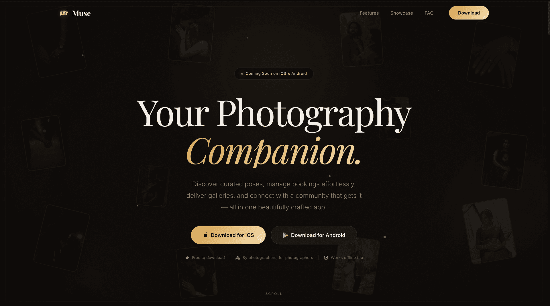 Muse (Coming Soon) - project screenshot 1